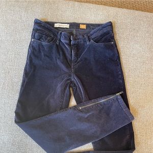 Pilcro pants dark blue